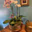 Customer photo 3 of 3