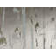 Tissu Des Arts-60918266