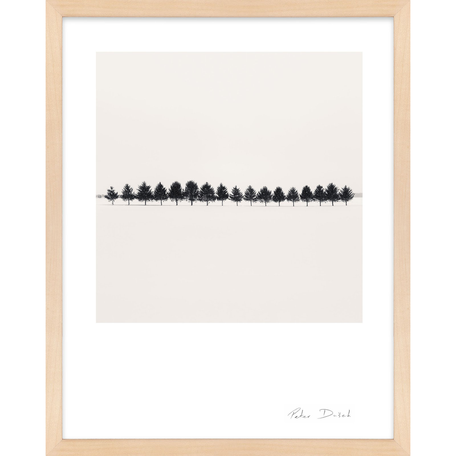 Seventeen Trees by Peter Dušek, 20" H x 16" W x 1.25" D, Brown