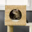 Arbre à chat, arbre à chat tressé pour l'intérieur, tour pour chats