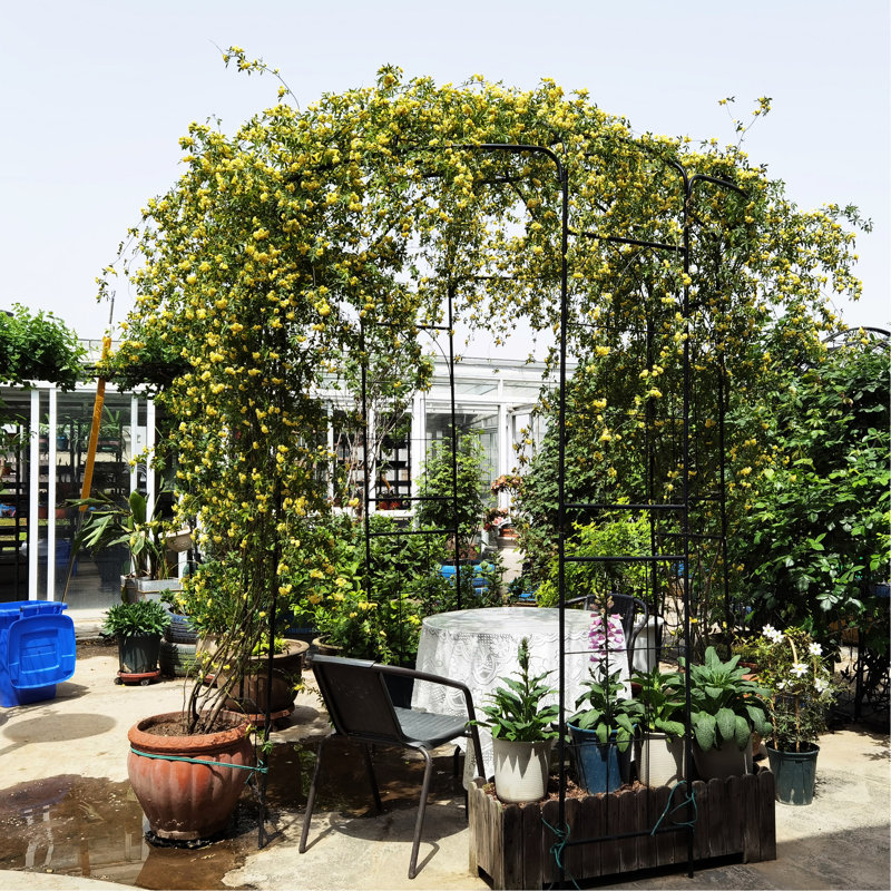 Pavillon de jardin en fer 81,3 po x 114,2 po, arche de jardin, noir, ternissant - érodant
