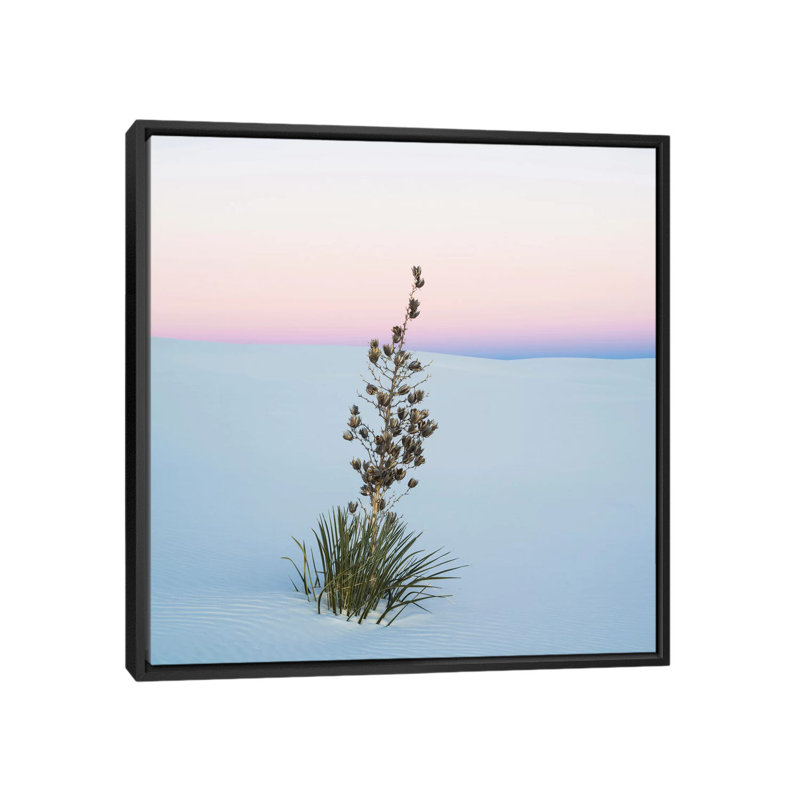 Reproduction de photo sur toile tendue, "soaptree yucca ii, sable national de-new mexico, usa, H 26 po x l 26 po x P 1,5 po