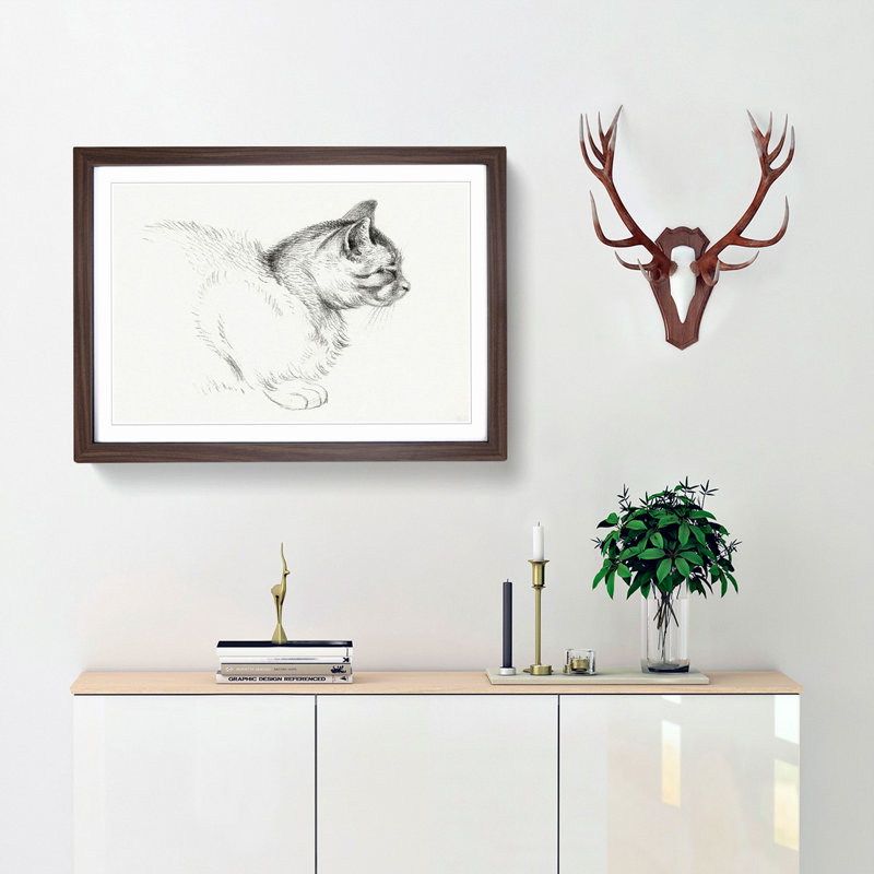 Cat by Jean Bernard - Picture Frame Drawing Print, Walnut Framed, 48cm H x 65cm W x 2cm D