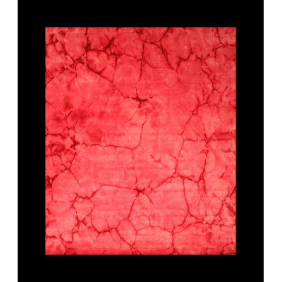 Sarrah Giselle Pink Hand Knotted Wool Area Rug