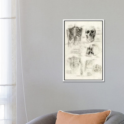 Skeleton 1 Piece Wall Art on Canvas