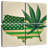 Marijuana Leaf USA Map