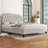 Upholstered Bed Frame with with Diamond Button-Tufted Headboard-332416923-332416926