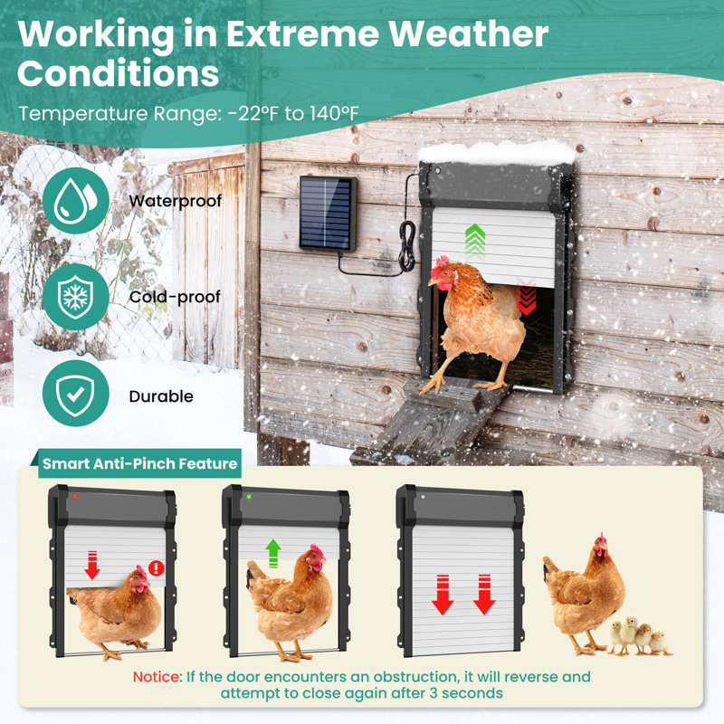 Automatic Chicken Coop Door With Timer & Light Sensor