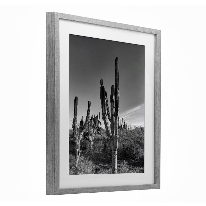 Sunlit Succulents Canyon Cacti, reproduction encadrée sous verre, design par Norm Stelfox, Cadre de ferme gris