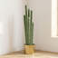 Cactus artificiel 4 'dans un pot en métal doré