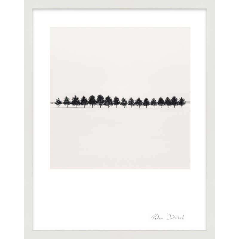 Seventeen Trees Print by Peter Dušek, 50" H x 40" W x 1.25" D, White