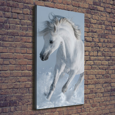 White Horse In Gallop - Wrapped Canvas Print