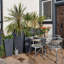Plant Pot-795294483-788838800