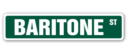 Plaque de rue baryton en plastique robuste 6 po x 24 po