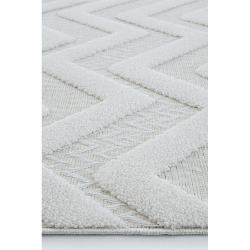 Raychell Machine Made Indoor / Outdoor Area Rug, Runner 80 x 350cm