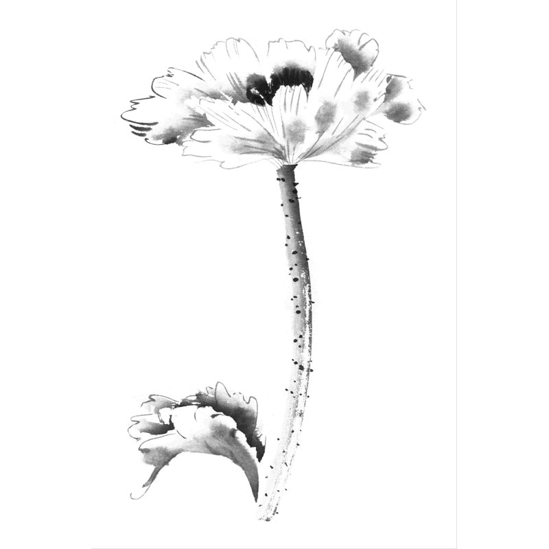 Encre coquelicot, H 12 po x l 8 po