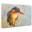Exquisite Kingfisher Bird - Wrapped Canvas Painting-56655769