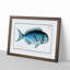 Blue Fish by M.E. Bloch - Framed Print