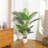 Adcock Artificial Areca Palm Tree in Pot-693050611