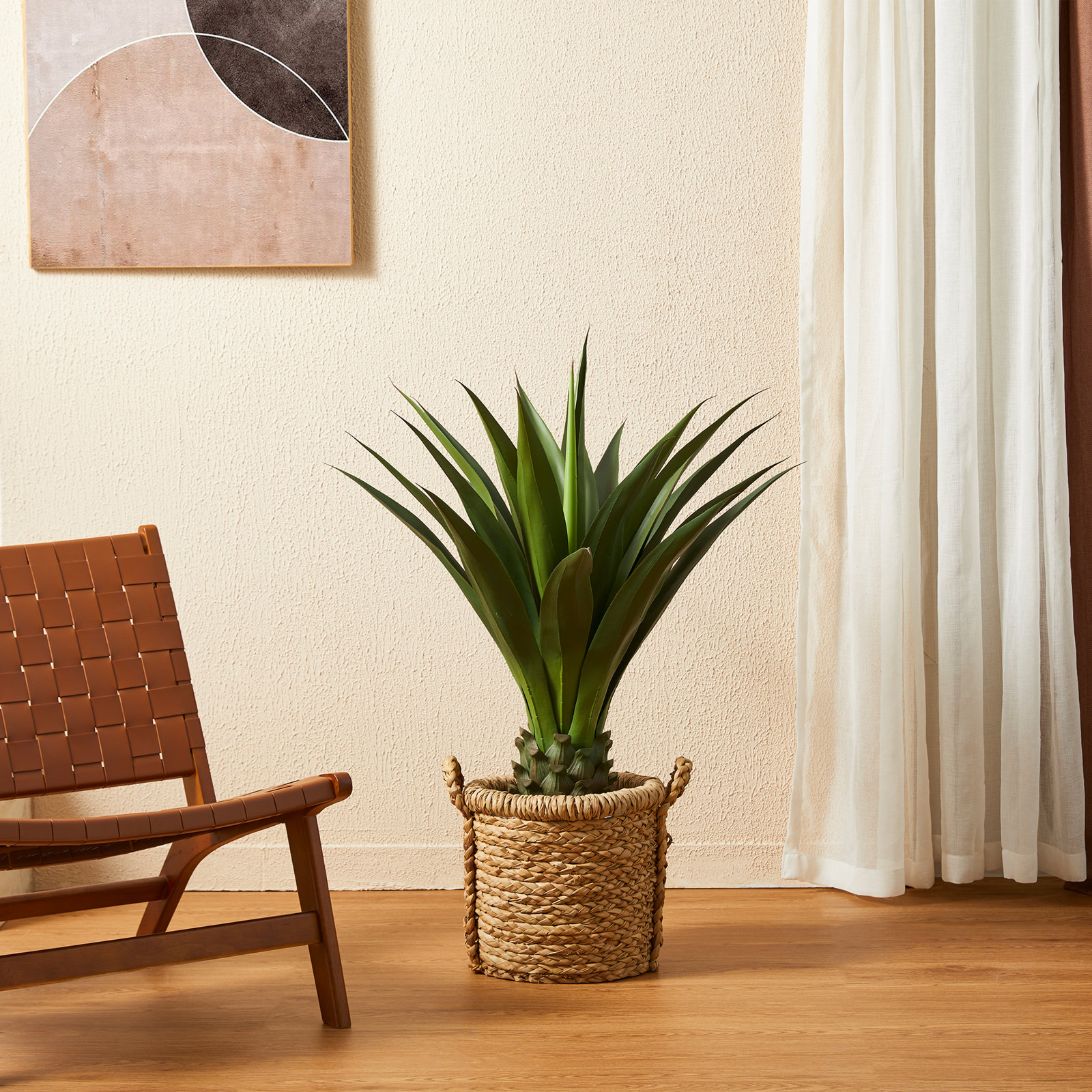 39" Agave Plant in Pot