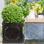 Handmade Planter Box-123806592-123806594