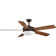 Alizabeth 60'' Ceiling Fan with LED Lights