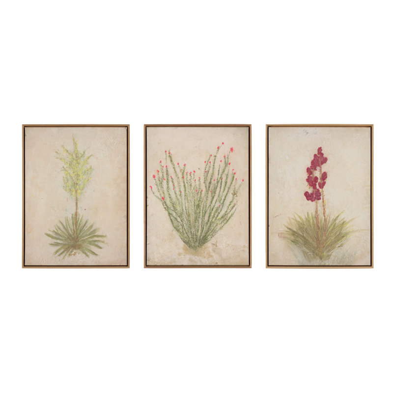 Desert Flora Triptych By Paul Meyer, 24" H x 54" W