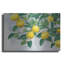 «Zesty Lemons» par James Wiens-1881971170