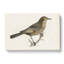 Blackbird by Von Wright - Wrapped Canvas-55370953
