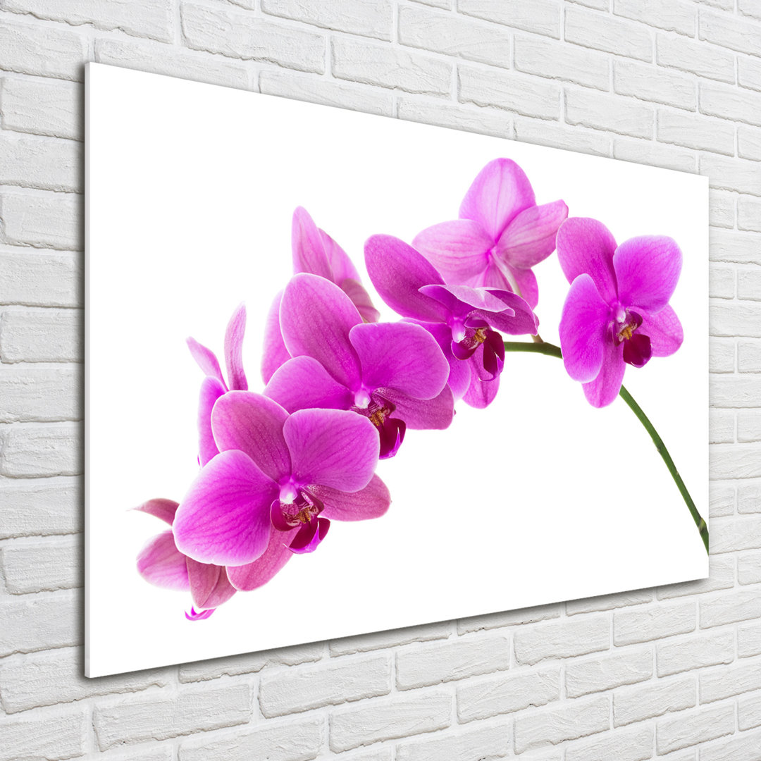 Glasbild Pink Orchid