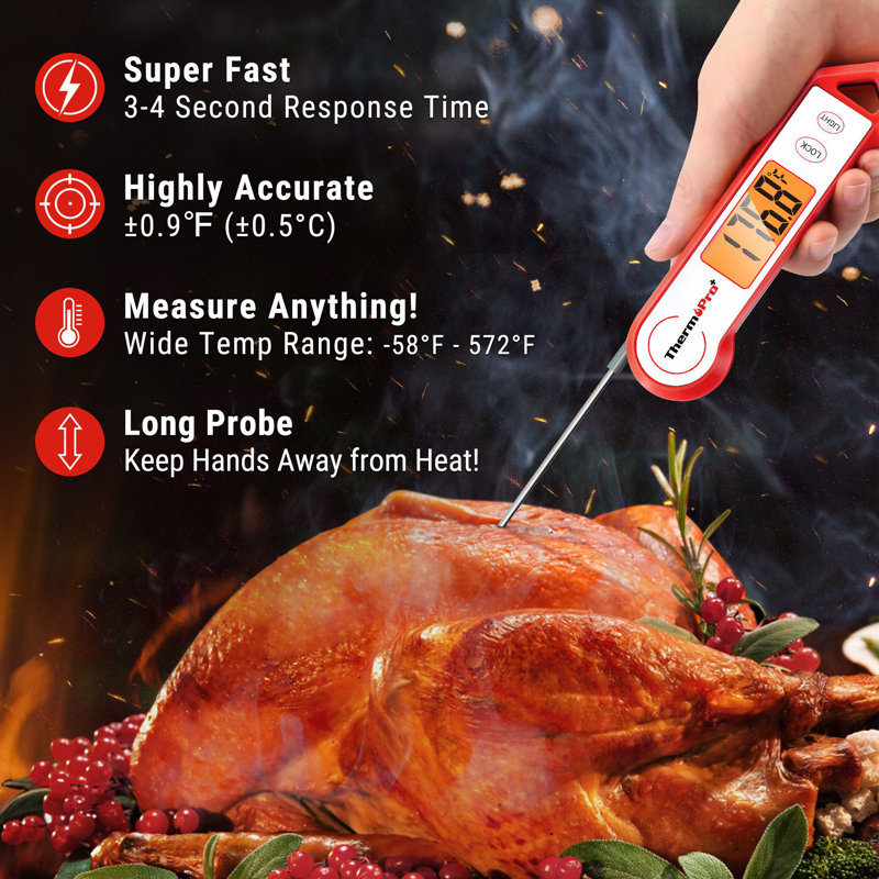 ThermoPro Thermometer