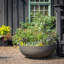 Orinoco Plastic Pot Planter-1564307498-1564307500