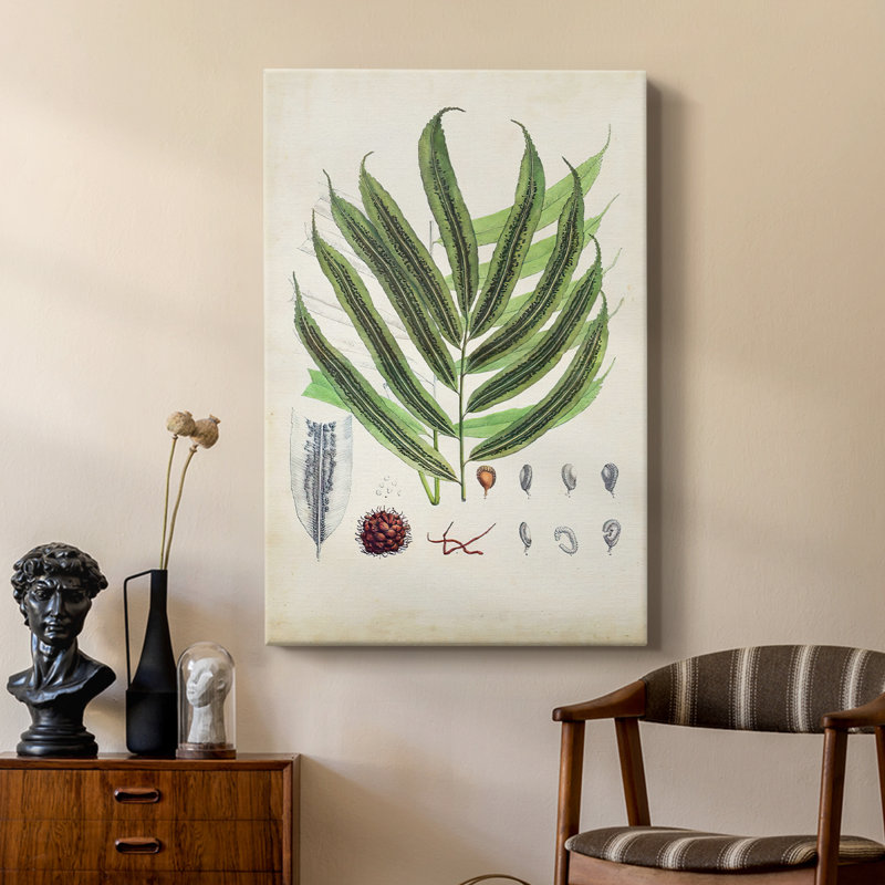 Collectionner Ferns III - galerie sur mesure, H 48 po x l 32 po