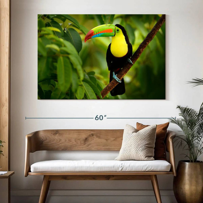 Toucan ronce sur un arbre, H 34 po x l 51 po