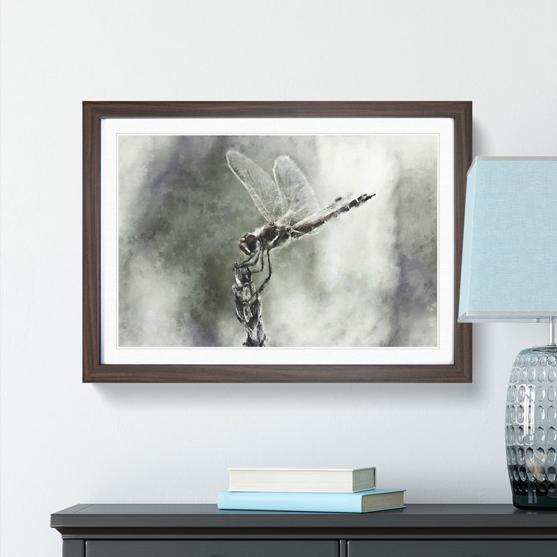 Perched Dragonfly - Picture Frame Graphic Art Print, 33cm H x 45cm W x 2cm D, Walnut