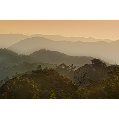 African Morning by Guenterguni - Wrapped Canvas Print