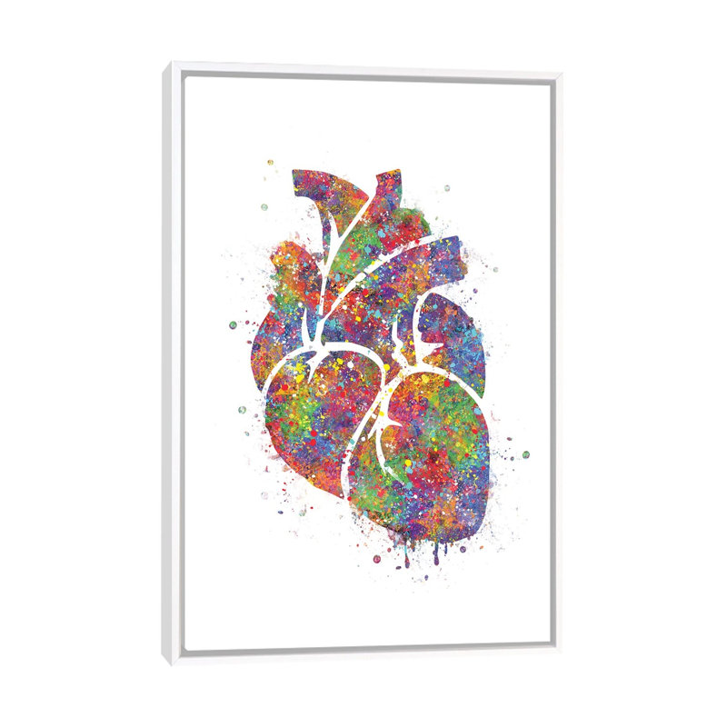 «Heart Anatomy III» - reproduction, H 60 po x l 40po x P 1,5 po, Cadre blanc
