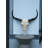 Maryona Bone-Inspired Bull Head Hanging Ornament in Resin Craft-109841987
