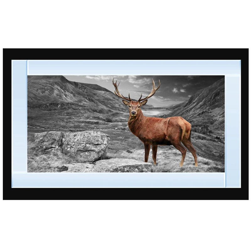 Mirror Frame Print on Canvas