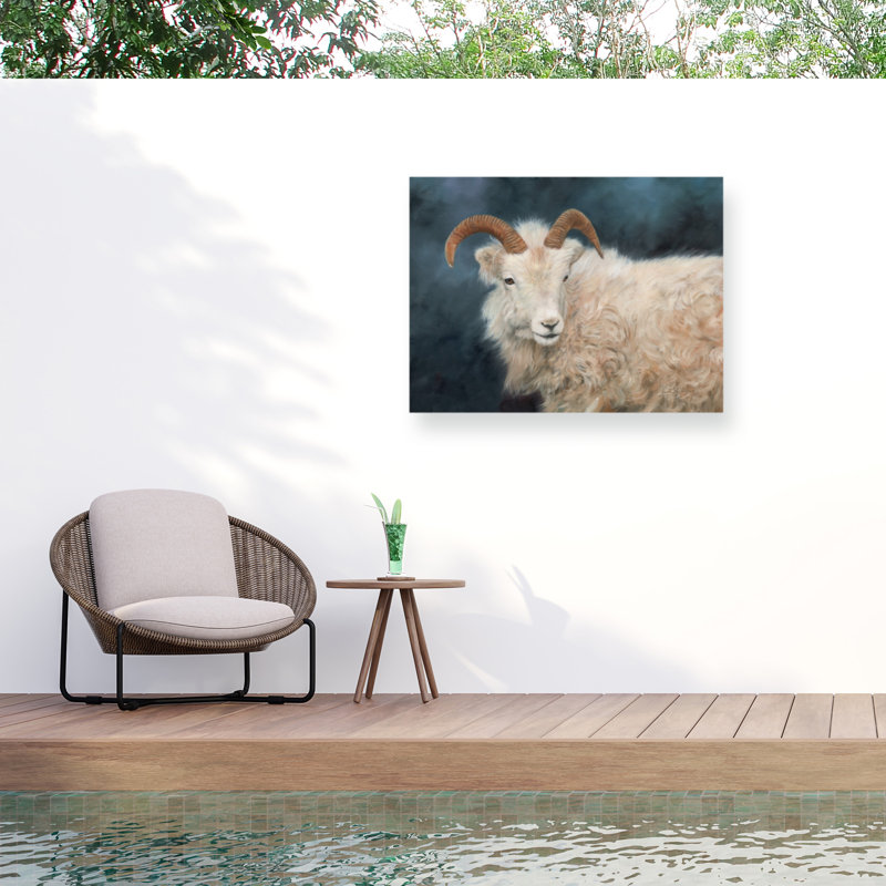 Toile d'extérieur David Stribble Mountain Goat 2, H 14 po x l 19 po