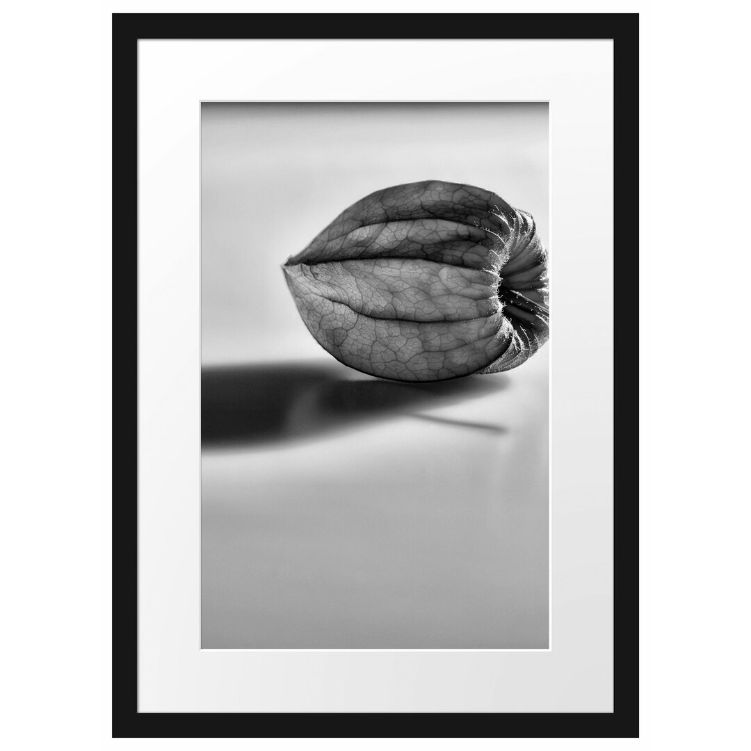 Kleine Physalis Gerahmter Fotodruck Poster