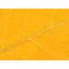 Autumn Leaf Print by Philippe Monthoux-65809677-132457122