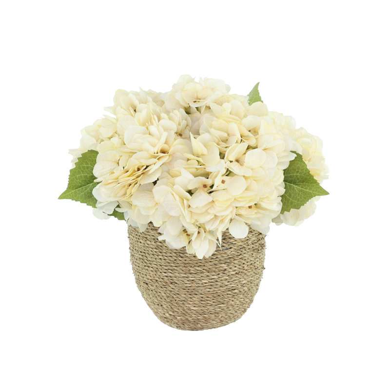 Arrangement floral d'automne hortensia, Crème, crème