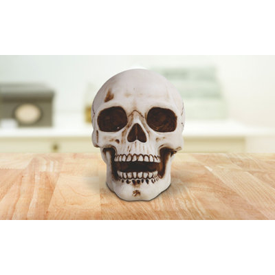 Figurine tête de mort l 4,5 po