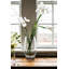 Burlington Vase, Large
