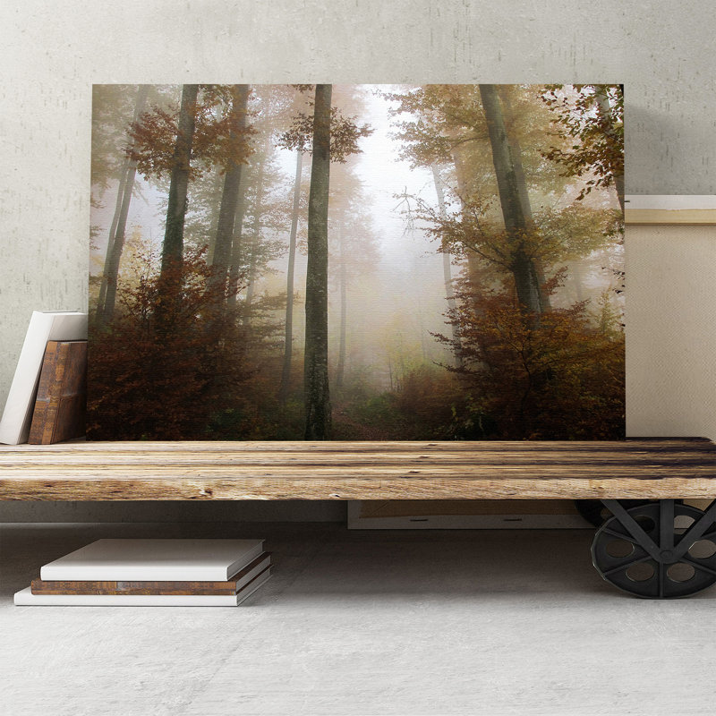 Landscape Sunlight Forest Wood Photographic - Wrapped Canvas, 70cm H x 100cm W