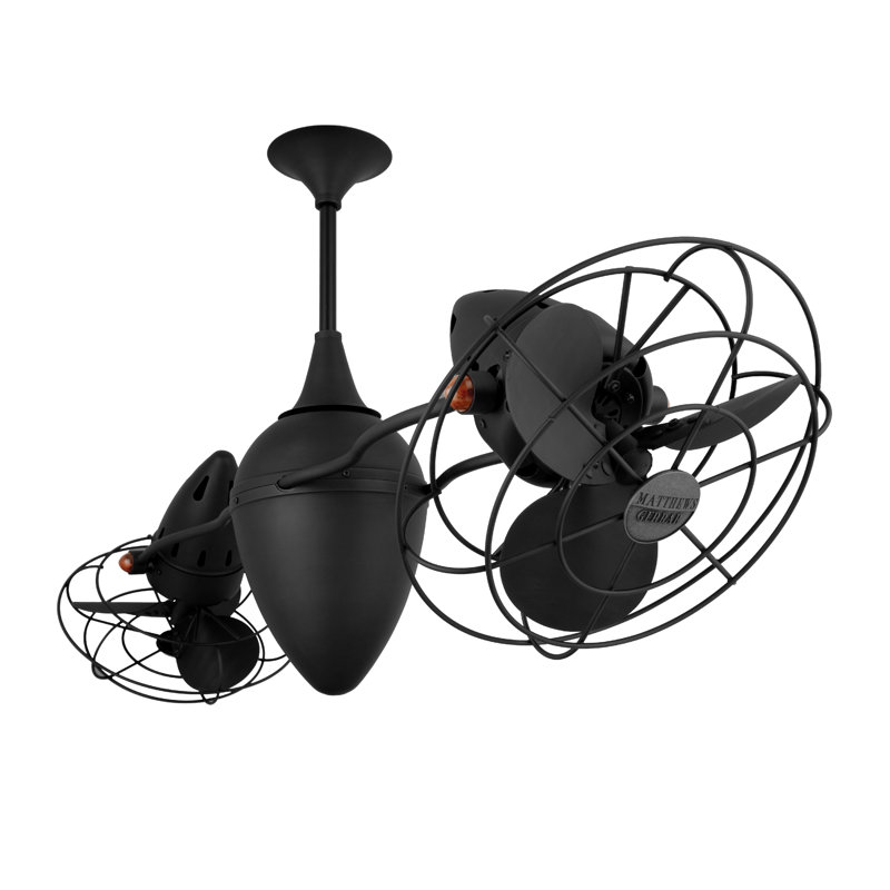 Ventilateur de plafond en cage à 6 pales 48 po avec commande murale Ar Ruthiane, Noir