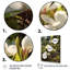 «White Green Magnolias Nature Serenity» sur impression sur toile-336646441-336646442