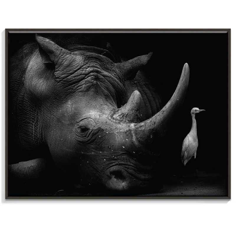 Print on Canvas, Black, 41cm H x 51cm W