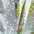 Roesser Cotton Throw